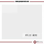 پد عایق حرارتی LCD برند WYLIE - Image 4