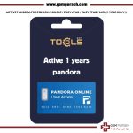 لایسنس Pandora Tool برای Z3X و Easy JTAG یک‌ساله