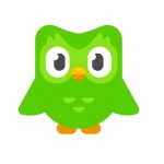 اشتراک Duolingo Super Individual – 12 Months